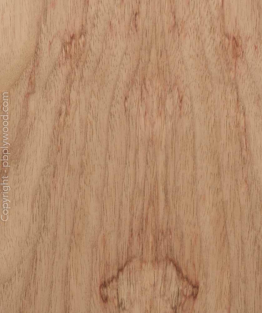 Narra Veneered Birch Plywood - Peter Benson Plywood Ltd